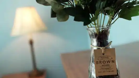 The Brown House - 4