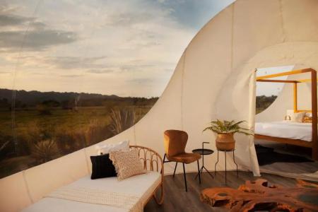 Green Land Bubble Glamping - 22