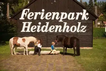Seepark Heidenholz, Plau am See - 16