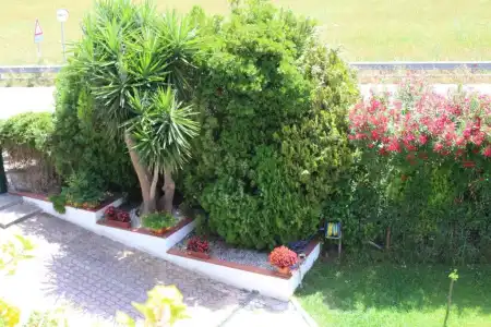 B&B Il Girasole - 34