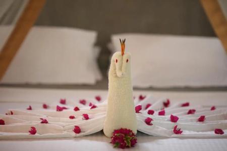 Mangrove Beach Chalets - 27
