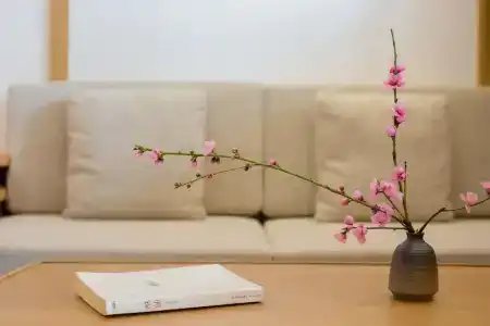Jianshe - 28
