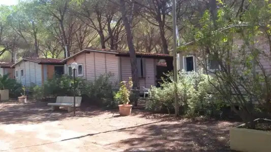 Camping Village Il Sole - 54