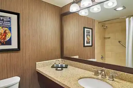 Sheraton North Houston at George Bush Intercontinental - 60