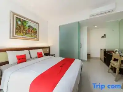 OYO 3850 Bali Kepundung - 32