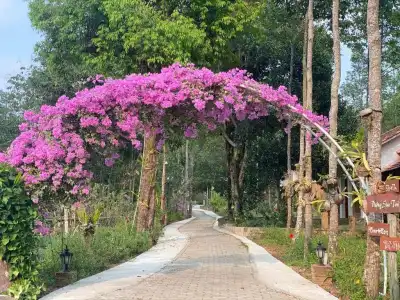 The Garden House Phu Quoc Resort - 349