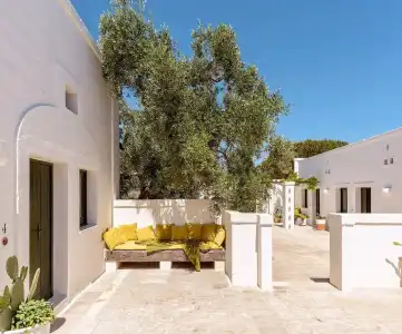 Masseria Narducci - 13