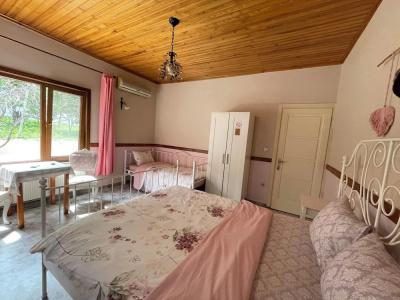 Elisa Butik Otel - 12