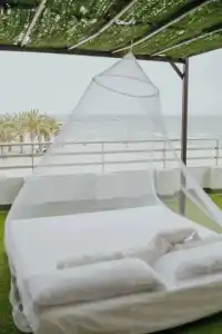 Polamar - 65