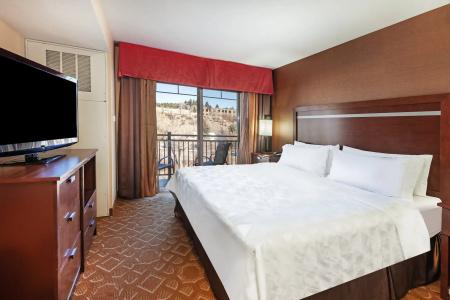 Holiday Inn & Suites Durango Downtown by IHG - 4