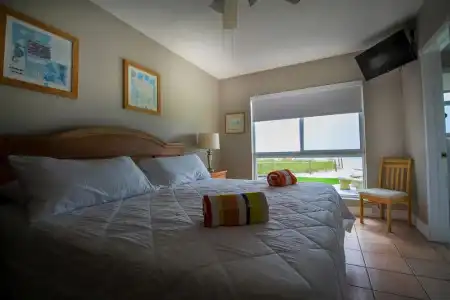 Shore View - 34