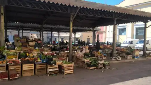 Torino - 19