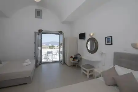 Thira's Dolphin - 80