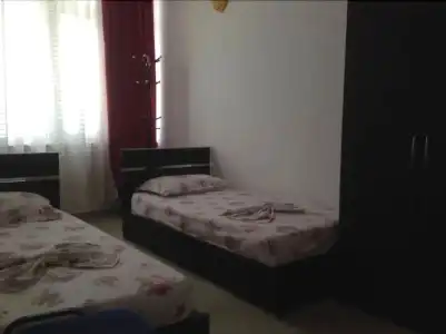 Kamomil - 3