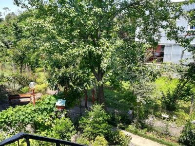Guest house of Givi - 12