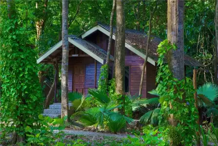 Khao Sok Riverside Cottage - 119
