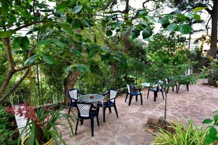 Hostal Magnolia - 16