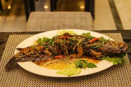 Yatri Suites and Spa - 9