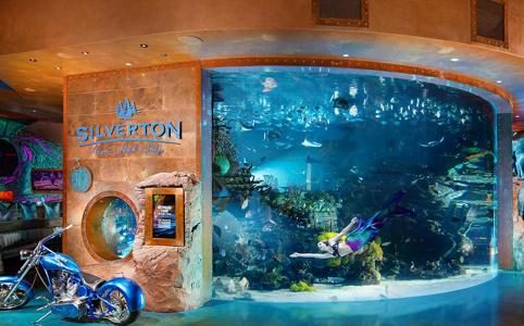 Silverton Casino Lodge - Newly Renovated - 35
