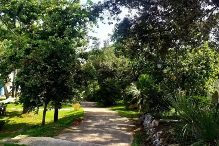 Baia D'Oro - 7