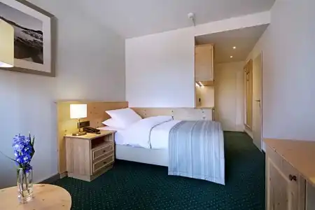 Maritim TitiseeTitisee-Neustadt - 152
