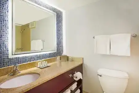 Wyndham Garden Lake Buena Vista – Disney Springs® Area - 129