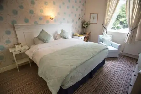 The Ascott - 48