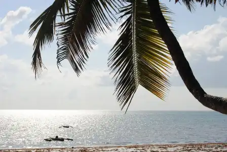 Blu Marlin Village - 7