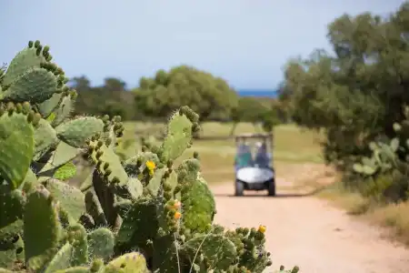Is Molas Villas - 23