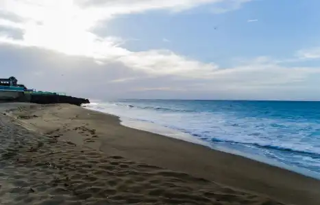 Garden by the Sea - 13