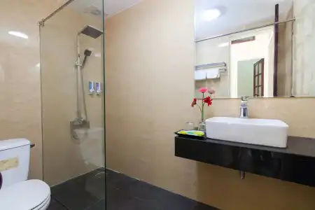 Hanoi Elpis - 6