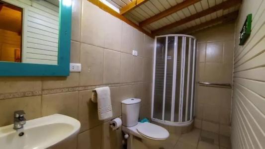 Shams & Dive Centre - 84