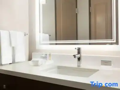 Homewood Suites By Hilton Irvine John Wayne Airport - 74