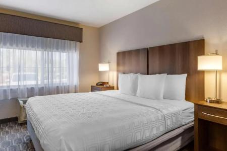 Best Western North Phoenix - 52