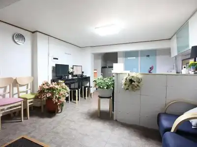 Seoul Mansion Guest House - 9