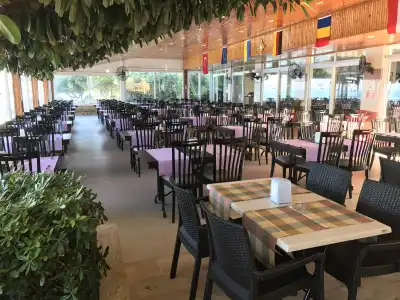 Muz - All Inclusive - 23