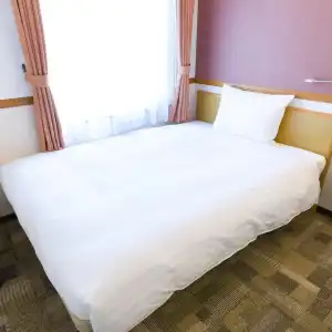 Toyoko Inn Tokyo Shinagawa Aomono Yokocho Station - 23
