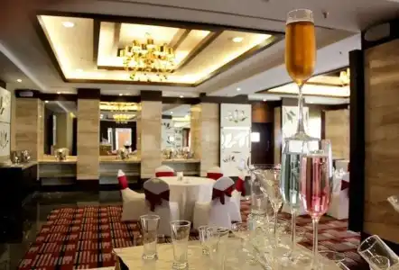 The Golden Palms & Spa Delhi - 22