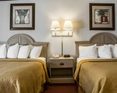 Rodeway Inn Clearwater - Central - 35