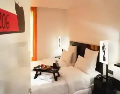 Hôtel Le Chat Noir - 78