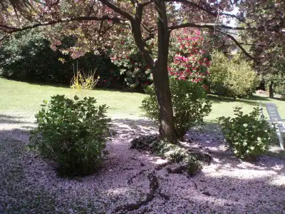 du Parc - 19