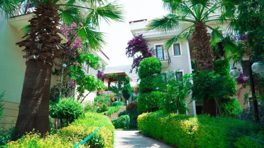 Yel Holiday Resort - All Inclusive - 38
