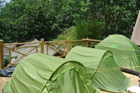 Lijiang Moon Hostel - 8