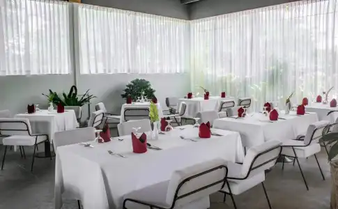 Elysium Suite - 27