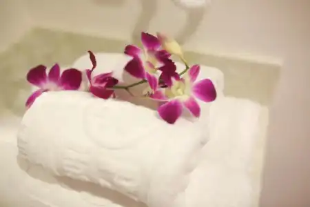 Palazzo Luxury - 65