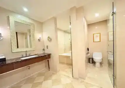 Wuhan Jin Jiang International - 81