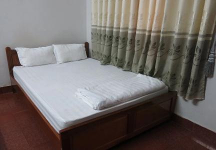 Lilly Palace Villa Guest House - 5