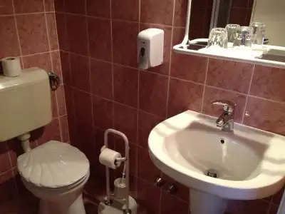 Astoria Panzio - 7