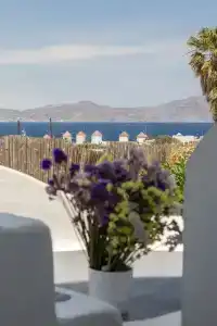 Dimele Rooms & Studios - 31