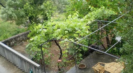 Krasici Green House - 11